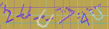確認代碼