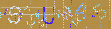確認代碼