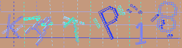 確認代碼