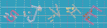 確認代碼