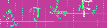 確認代碼