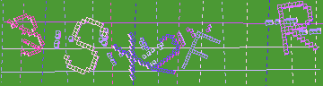 確認代碼