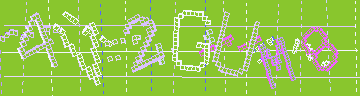 確認代碼