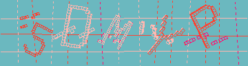 確認代碼