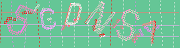 確認代碼