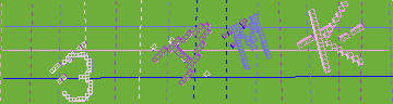 確認代碼