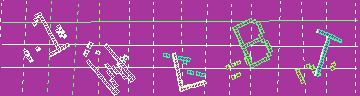 確認代碼