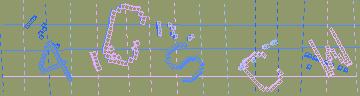 確認代碼
