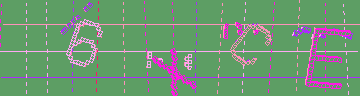 確認代碼